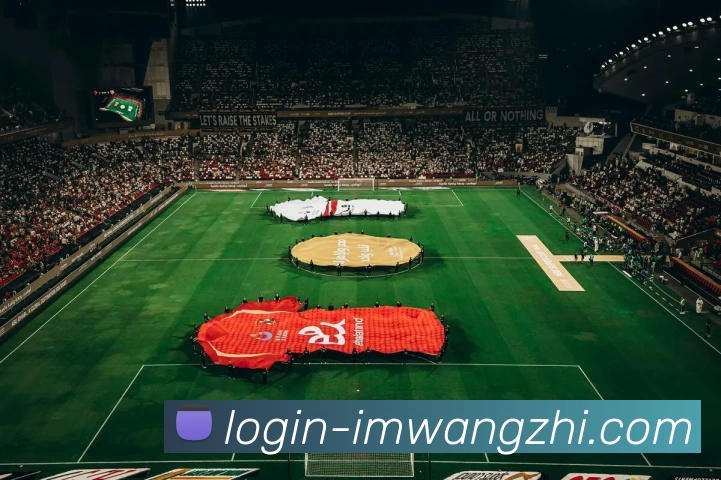 IM网址发展历程